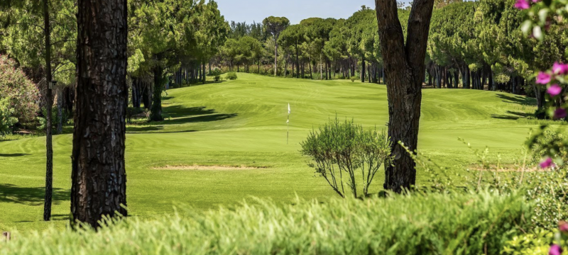 Les meilleurs parcours de golf en Turquie